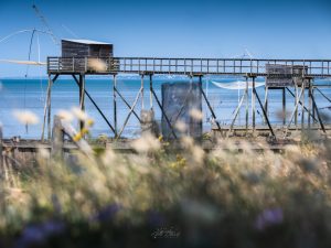 Les Moutiers en Retz