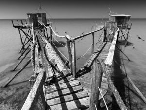 Pêcheries siamoises